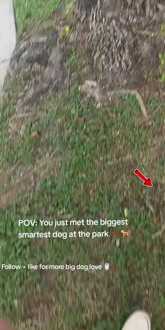 Post 7 by maria on TikTok (video)