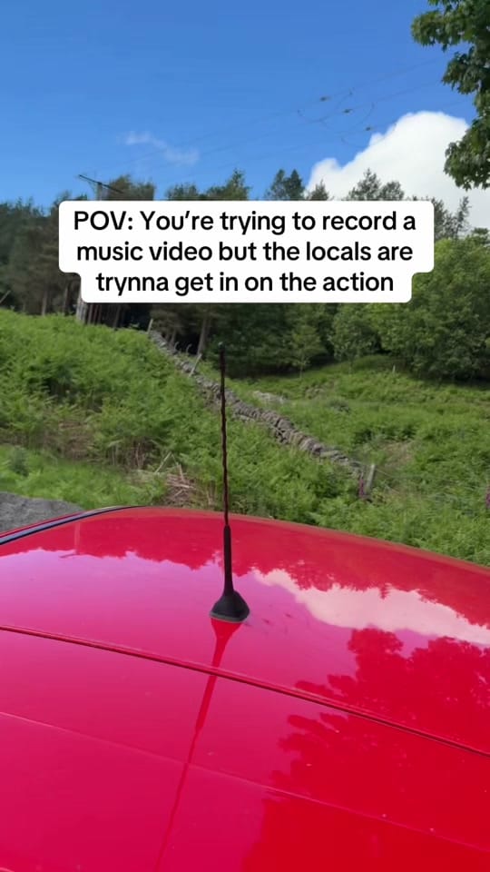 Post 5 by Mike Peyton Irish Musician on TikTok (video)