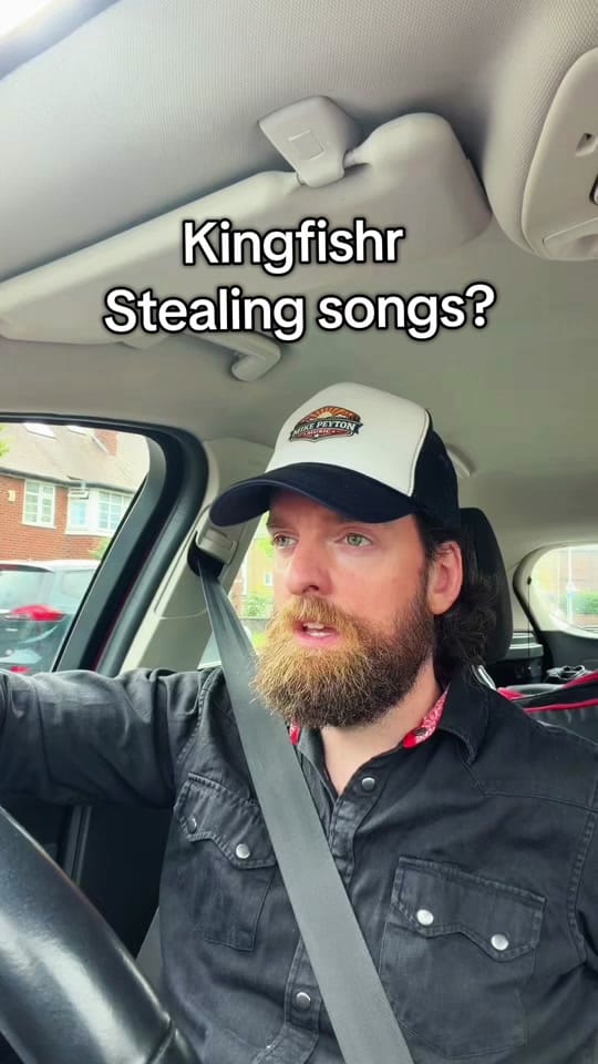 Post 3 by Mike Peyton Irish Musician on TikTok (video)