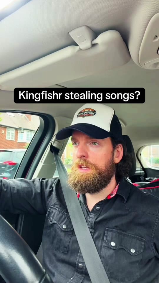 Post 2 by Mike Peyton Irish Musician on TikTok (video)