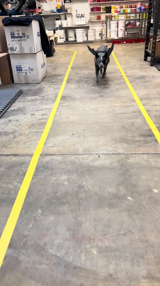 Post 4 by Dorothy Siemens on TikTok (video)