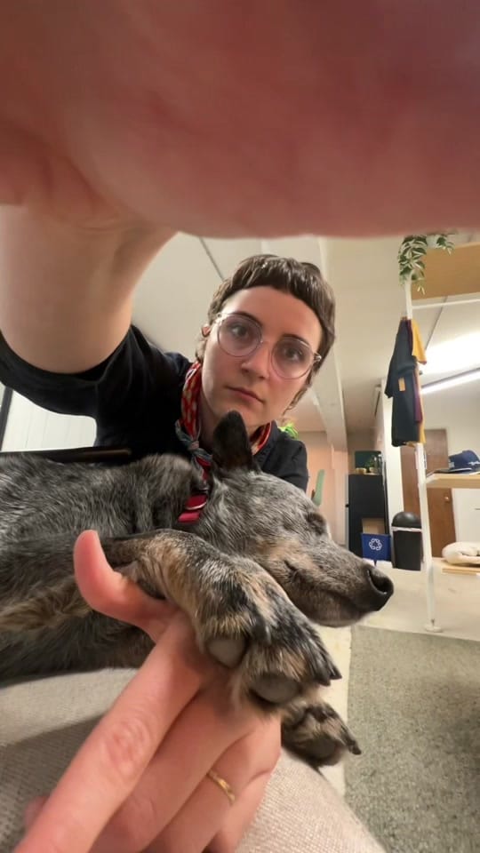 Post 6 by Dorothy Siemens on TikTok (video)