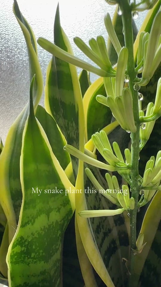 Post 5 by mrs.rachelmcdaniel on TikTok (video)