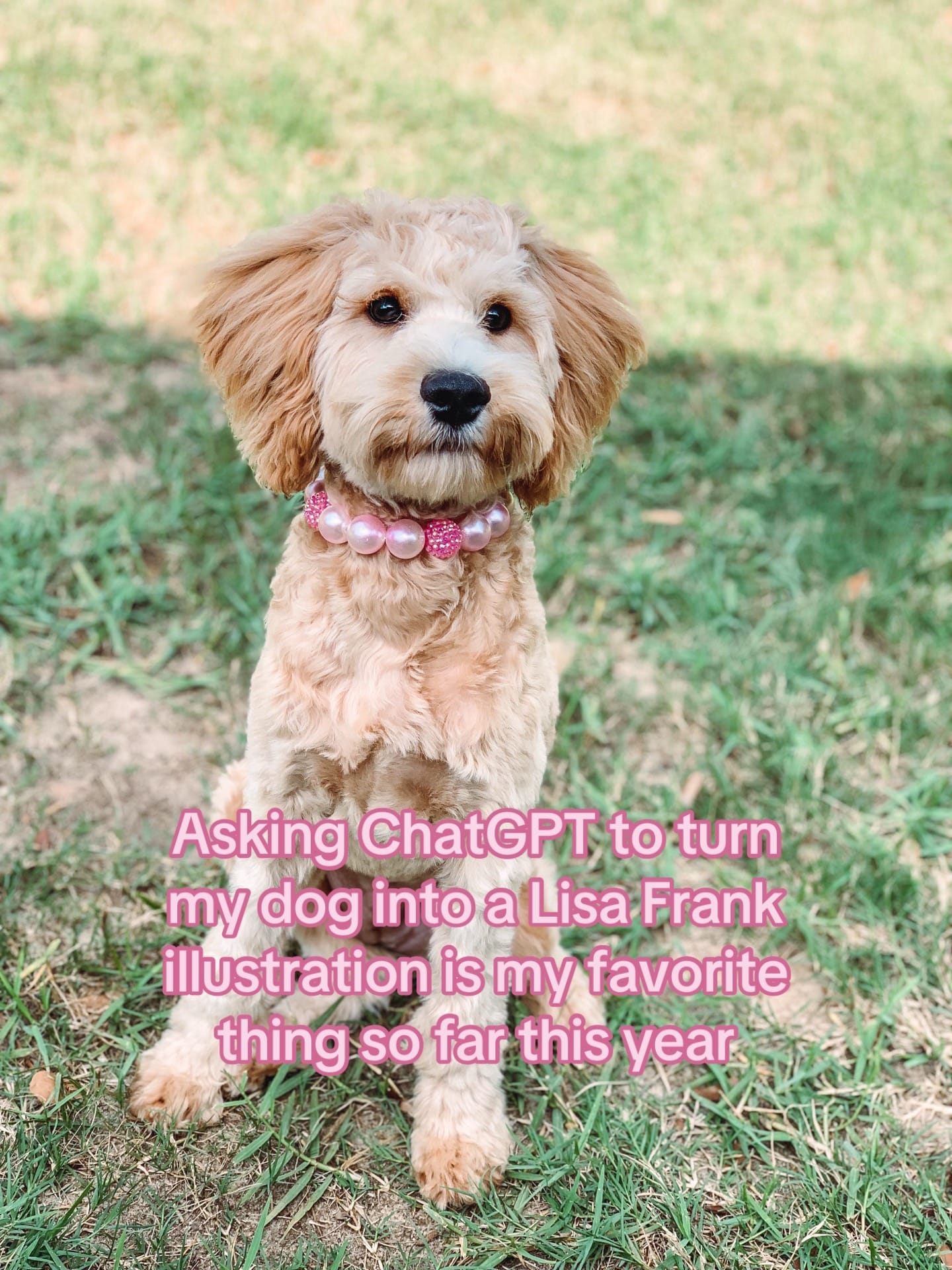 Post 10 by mrs.rachelmcdaniel on TikTok (video)