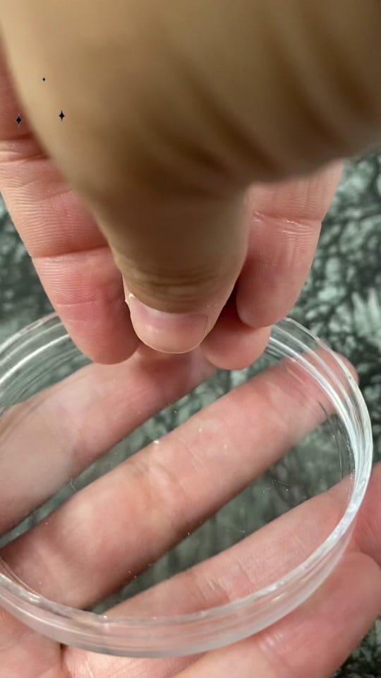 Post 10 by WanderlingsWire on TikTok (video)