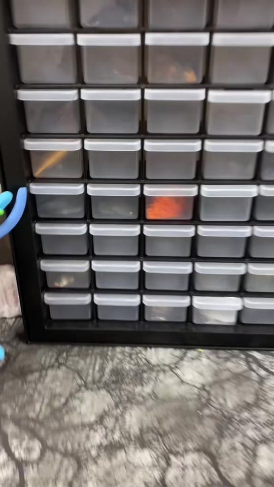 Post 6 by WanderlingsWire on TikTok (video)