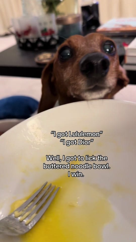 Post 9 by Reggie the Veggie on TikTok (video)