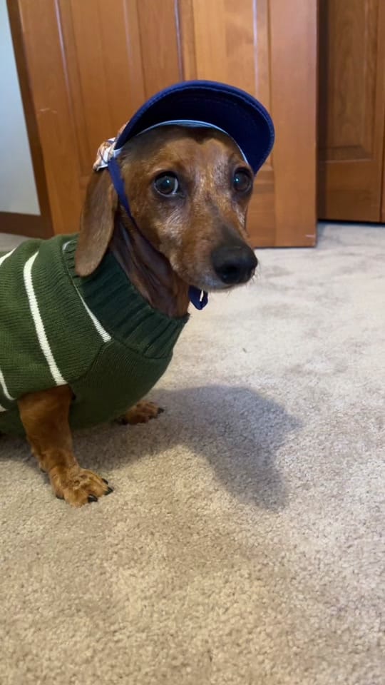 Post 10 by Reggie the Veggie on TikTok (video)