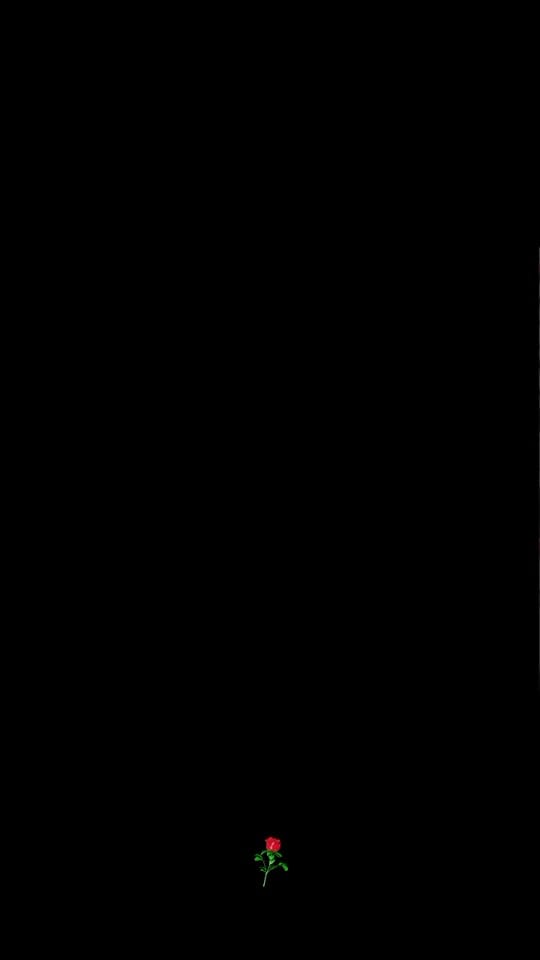 Post 5 by ms''Ghen40 on TikTok (video)