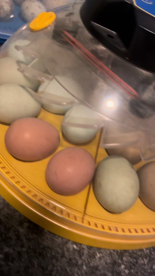 Post 10 by Rio✨- Mrs Kitching to be🤍 on TikTok (video)