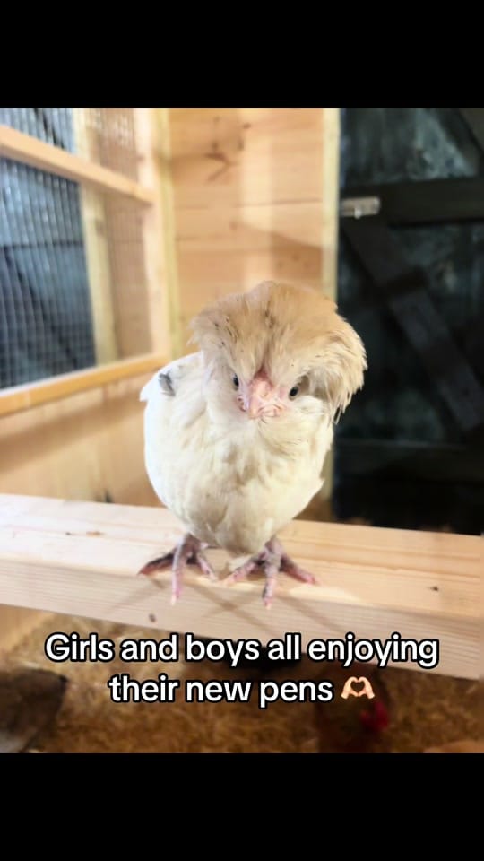 Post 8 by Rio✨- Mrs Kitching to be🤍 on TikTok (video)