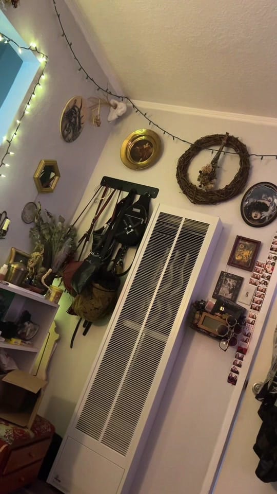 Post 10 by Elise Whitehorn on TikTok (video)