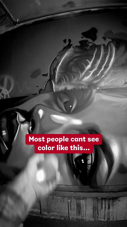 Post 2 by Sril Art on TikTok (video)
