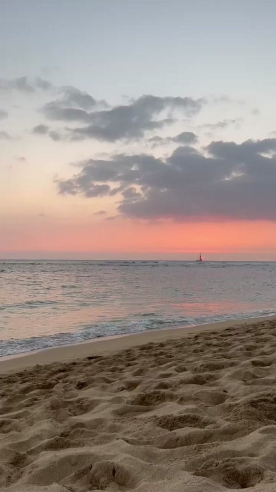 Post 5 by ADA Swim on TikTok (video)
