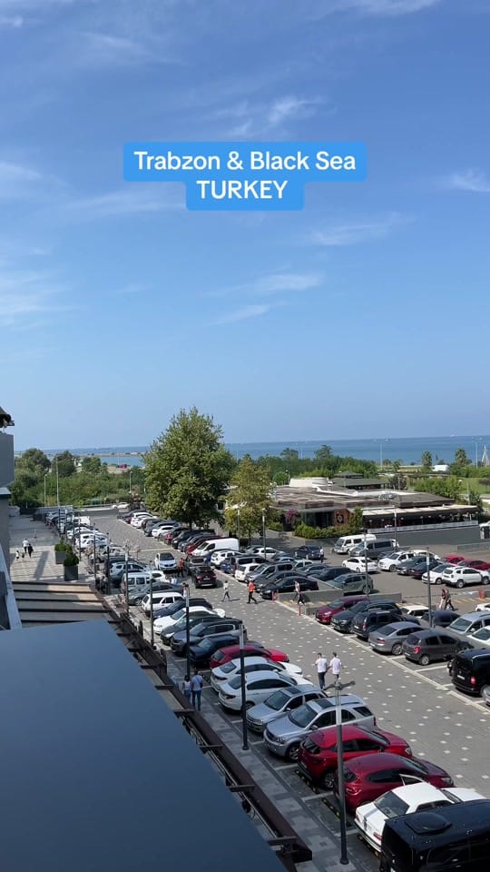 Post 5 by Mike on TikTok (video)