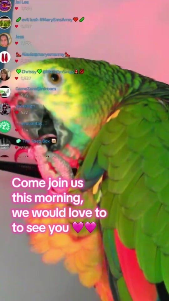 Post 2 by MaryEmSings🎙️♥️ on TikTok (video)