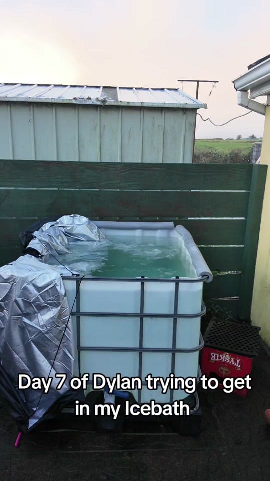 Post 10 by bridie.molloy.unleashed on TikTok (video)