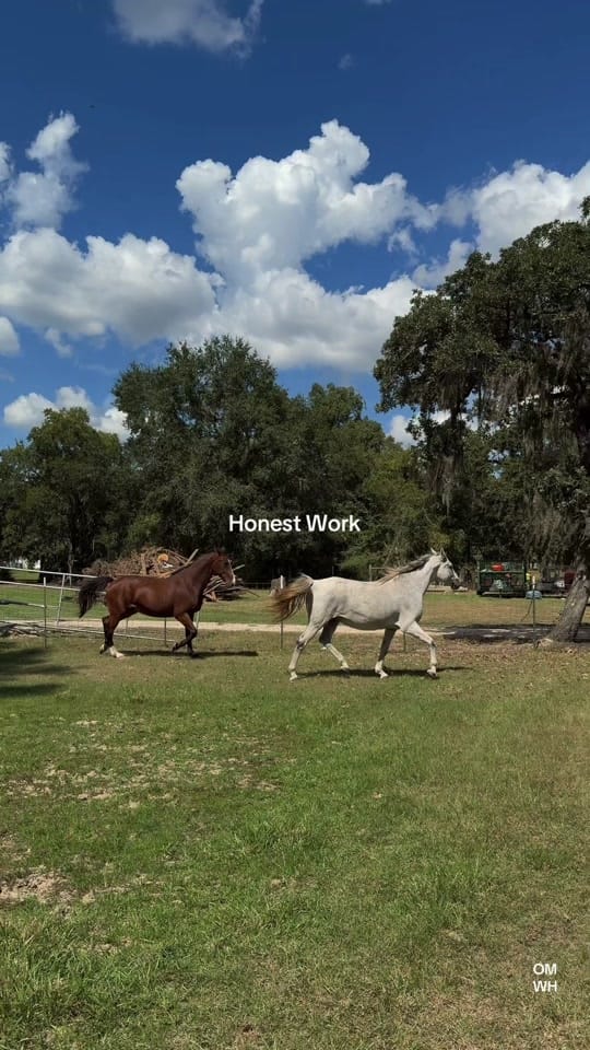 Post 3 by Brian Edwards Jr. on TikTok (video)