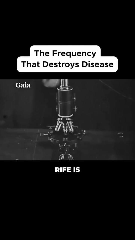 Post 2 by Quantumrife on TikTok (video)