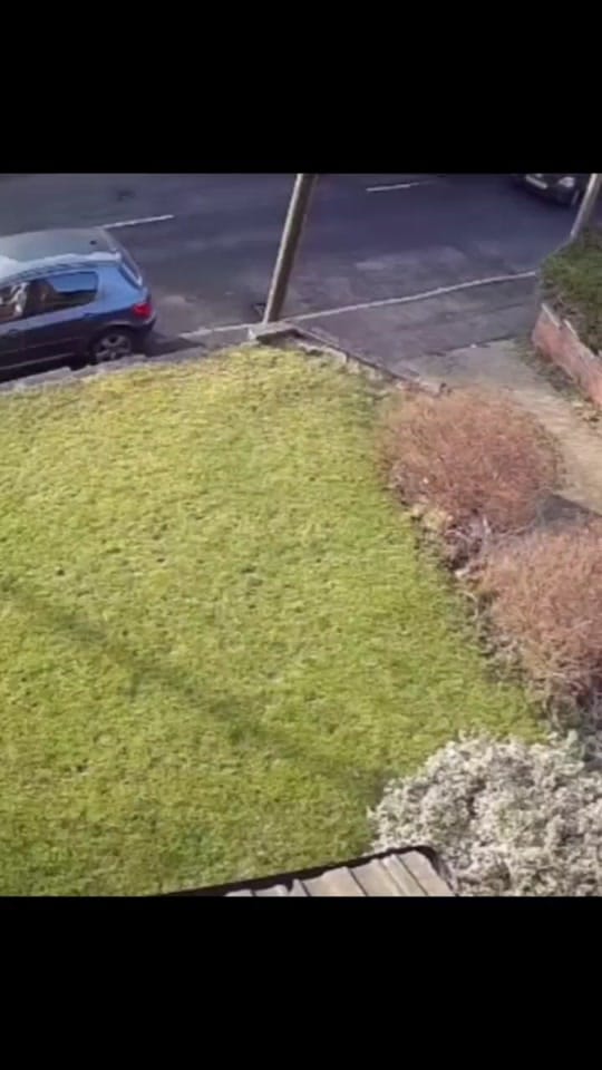 Post 10 by wee malky on TikTok (video)