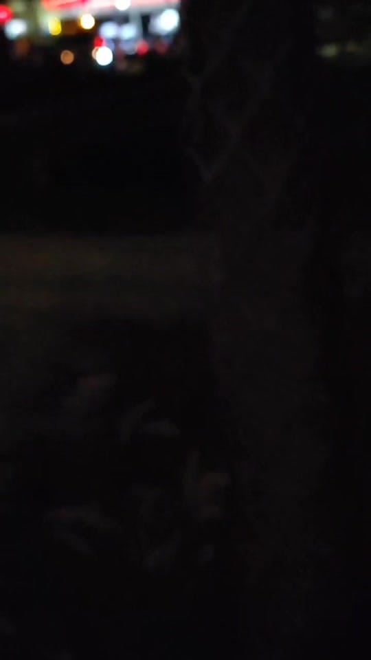 Post 10 by msf_agro 🧑🏽‍🌾🌾🚜 on TikTok (video)