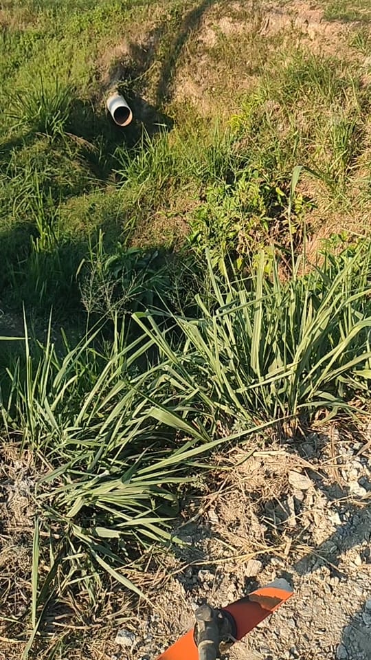 Post 5 by msf_agro 🧑🏽‍🌾🌾🚜 on TikTok (video)