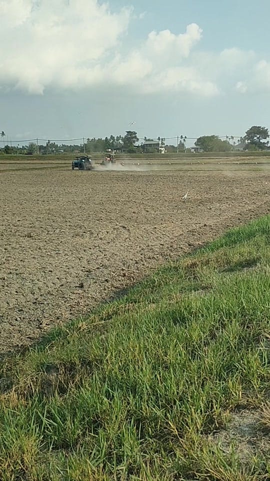 Post 1 by msf_agro 🧑🏽‍🌾🌾🚜 on TikTok (video)