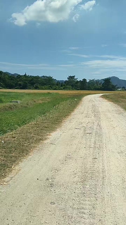 Post 9 by msf_agro 🧑🏽‍🌾🌾🚜 on TikTok (video)