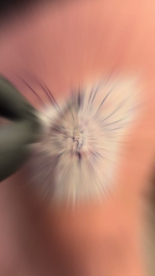 Post 6 by loren stanard on TikTok (video)