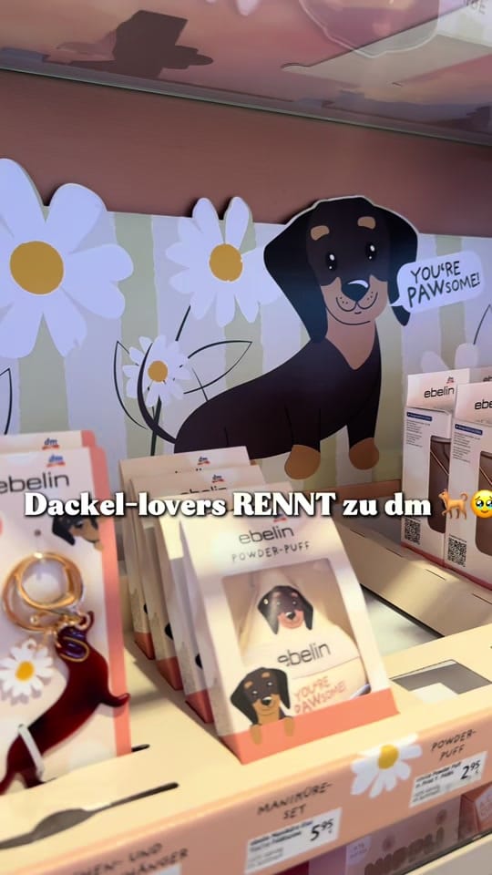 Post 4 by 𝑮𝒊𝒏𝒂 🦋 on TikTok (video)