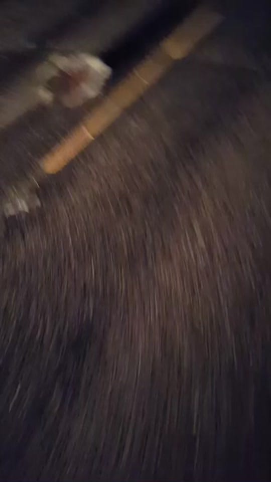 Post 9 by Noah Pino on TikTok (video)