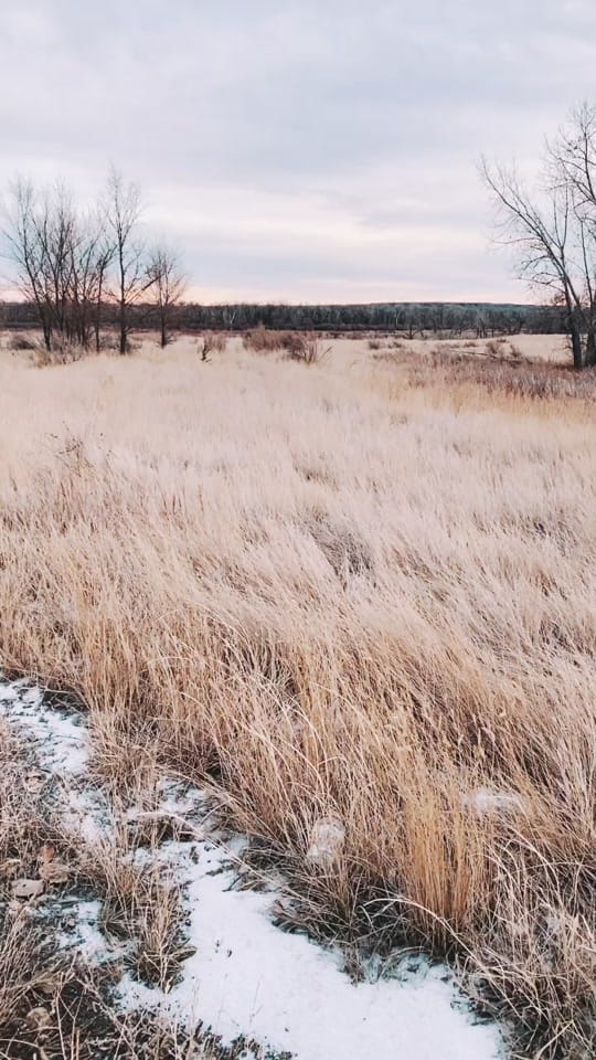 Post 10 by Noah Pino on TikTok (video)