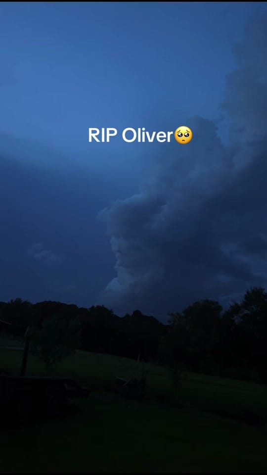 Post 6 by Ink_wrecked on TikTok (video)