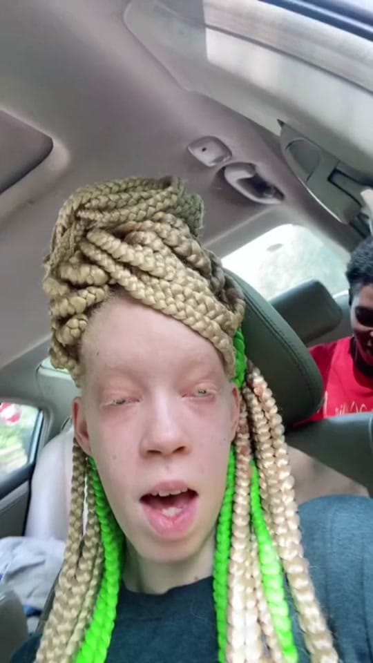Post 2 by mouse. on TikTok (video)