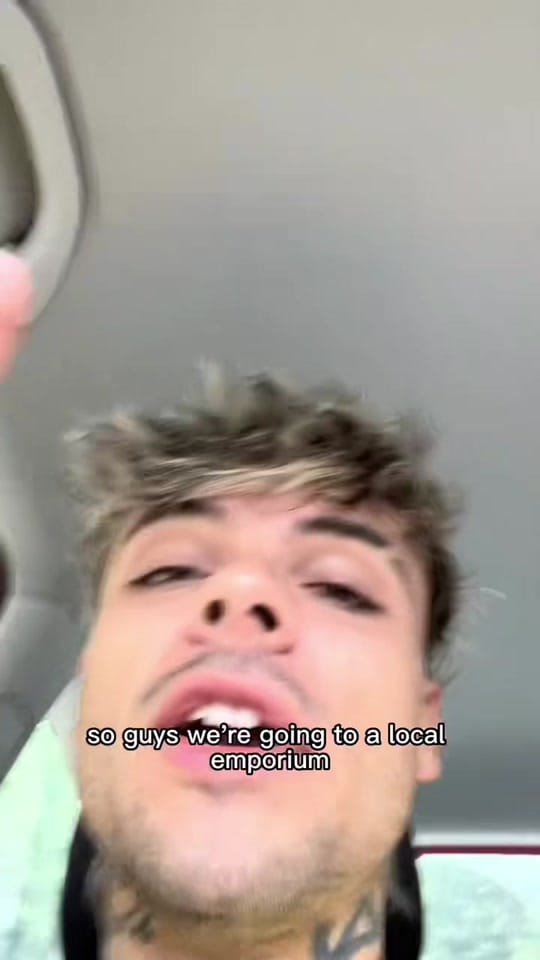 Post 5 by mouse. on TikTok (video)