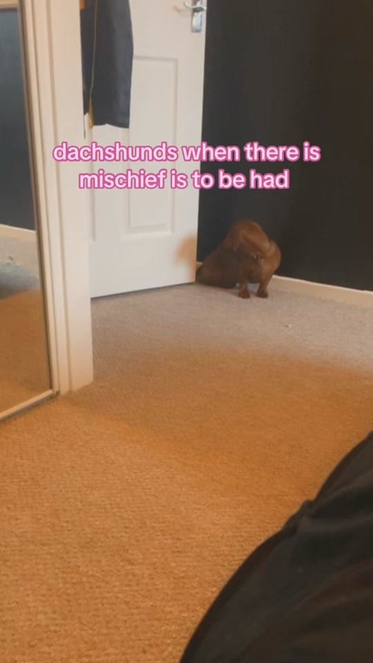 Post 4 by Megs 🌸🫧🎀 on TikTok (video)
