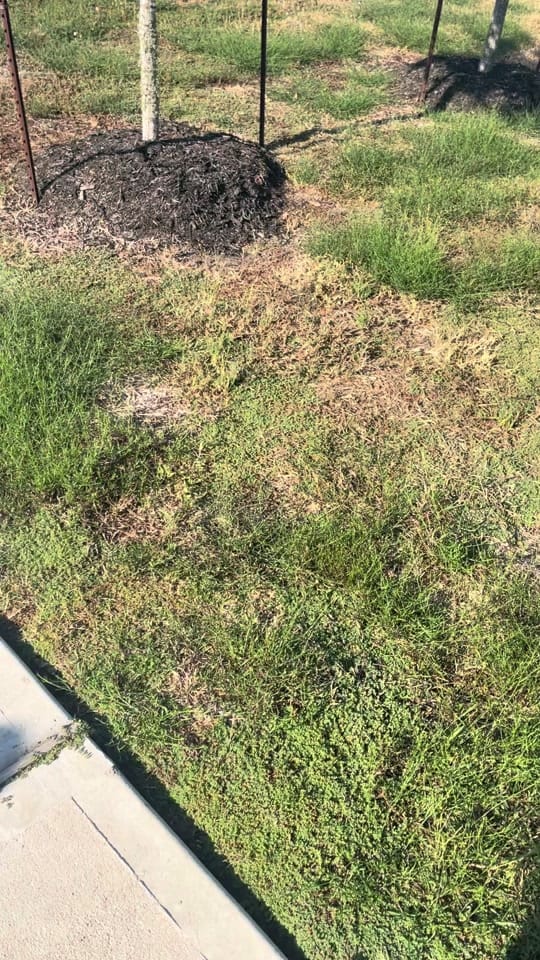Post 8 by Author zee reneé on TikTok (video)
