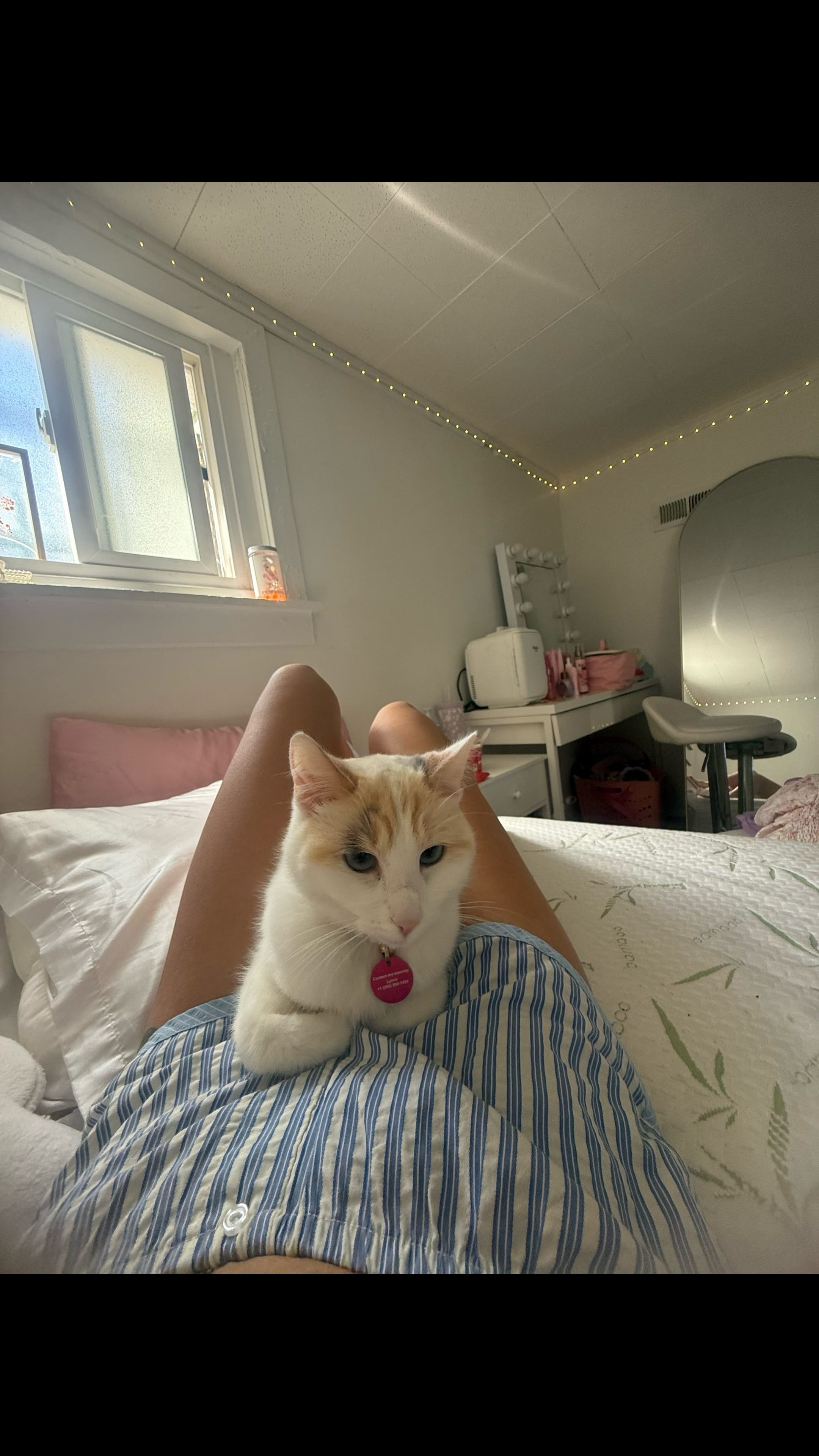 Post 3 by Lynne🤍 on TikTok (video)