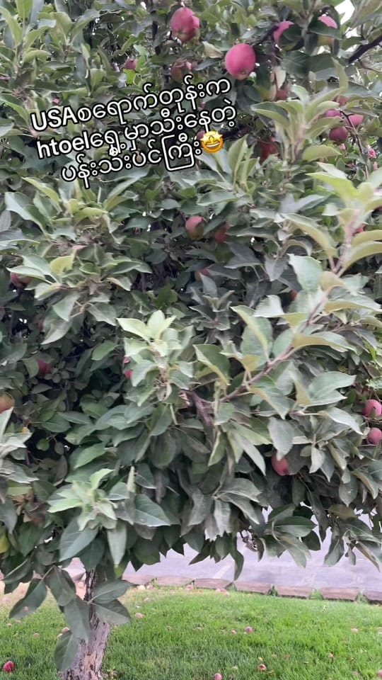 Post 8 by zatzat1995 on TikTok (video)