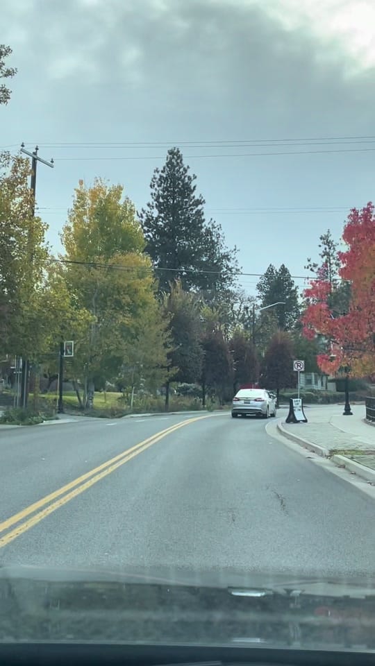 Post 1 by zatzat1995 on TikTok (video)