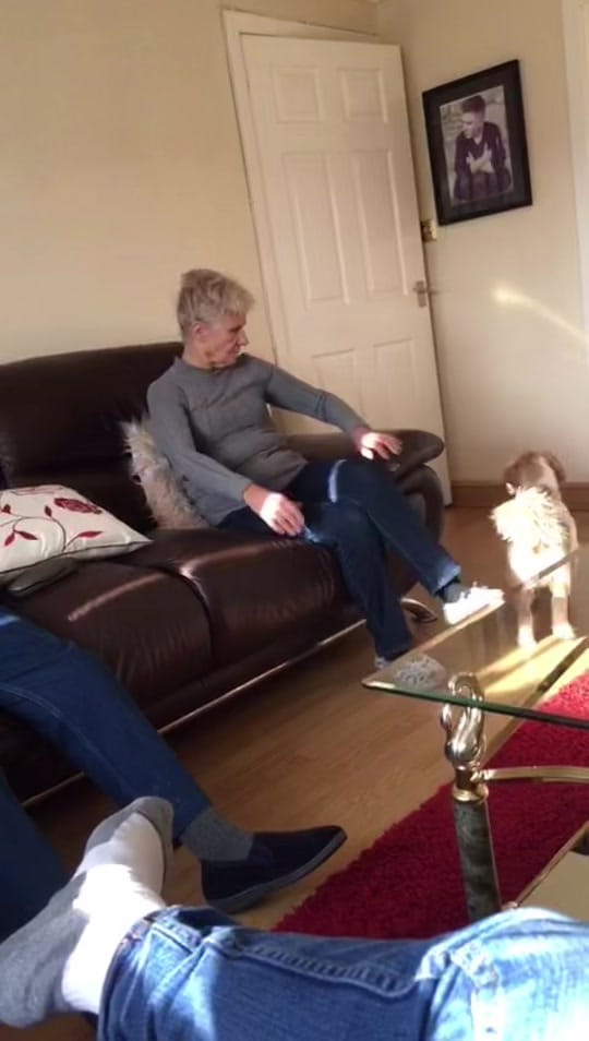 Post 9 by NickyMcdonald on TikTok (video)