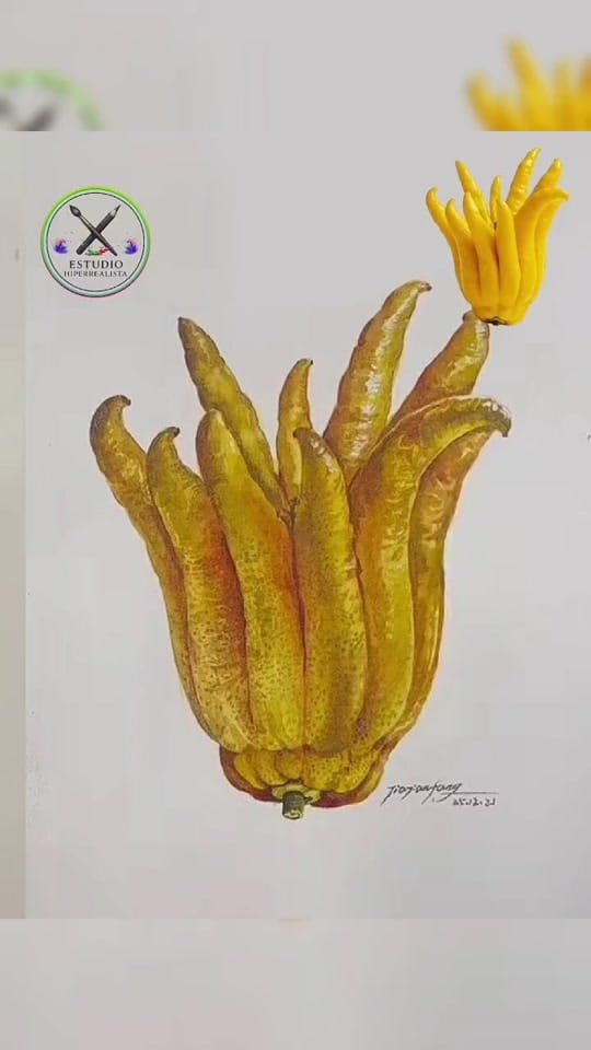 Post 5 by Estudio Hiperrealista on TikTok (video)