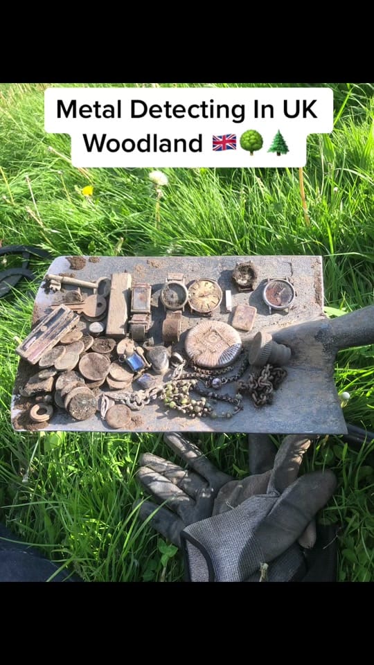 Post 10 by Hoole Digs Detects & Collects on TikTok (video)
