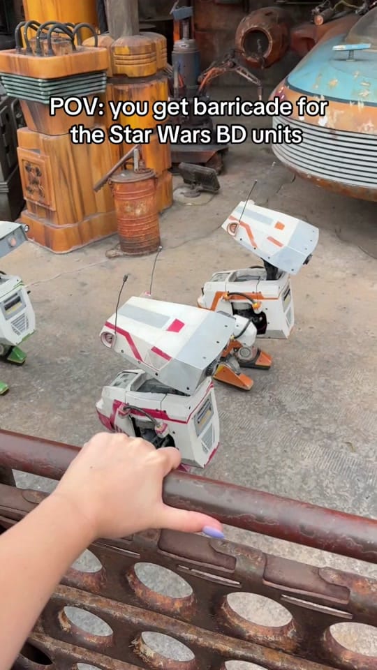Post 3 by Amber Leigh ♡ on TikTok (video)