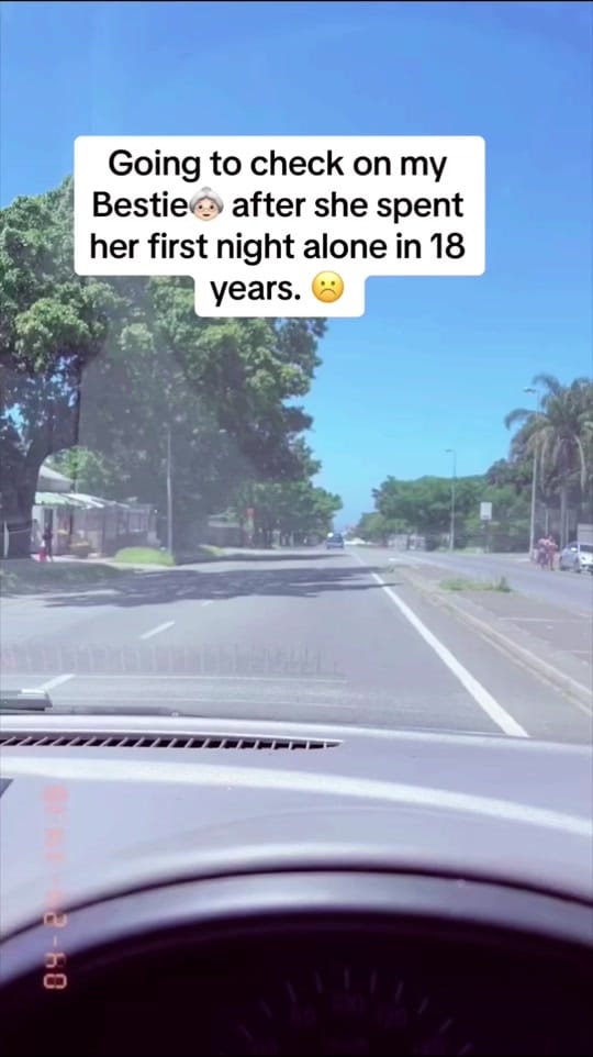 Post 9 by Zucco 🇿🇦 on TikTok (video)