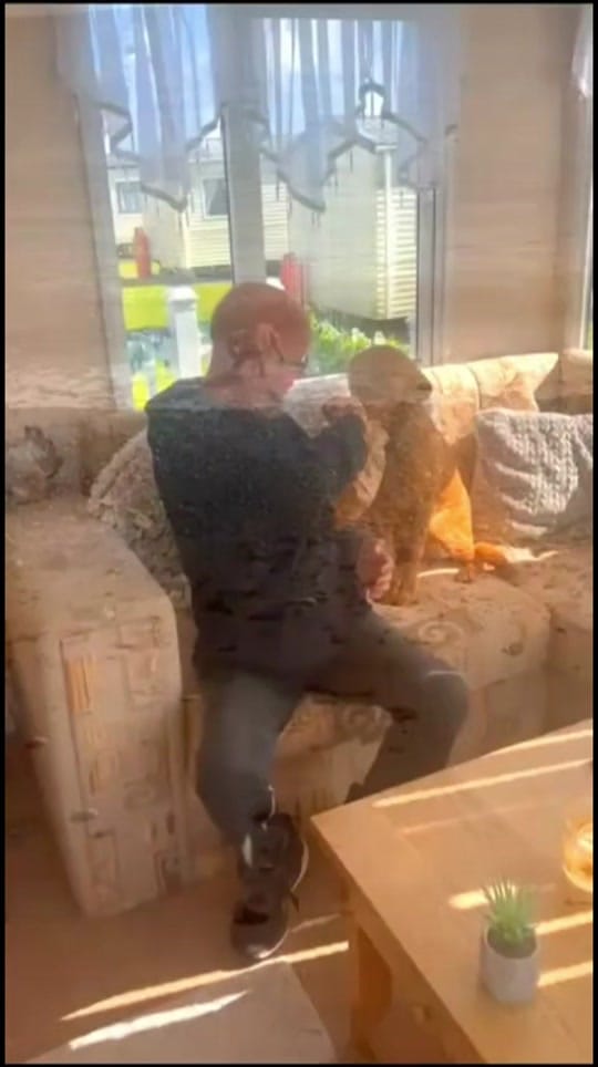 Post 1 by Mark Ramsey Gott on TikTok (video)
