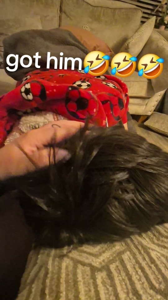 Post 3 by 🌷🌷Mel🌷🌷🇮🇪 on TikTok (video)