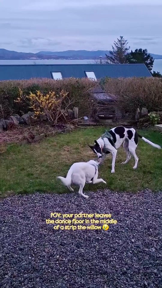 Post 6 by Jennie NicDhonnchaidh on TikTok (video)