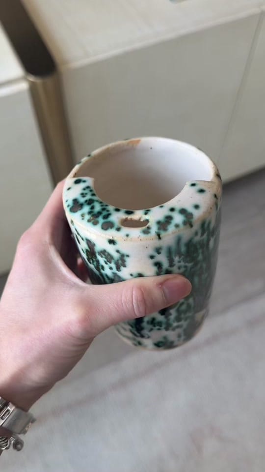 Post 2 by Caroline Greene on TikTok (video)