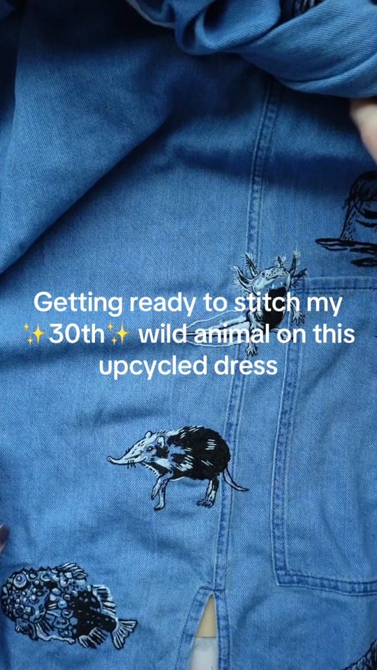 Post 10 by Sara on TikTok (video)